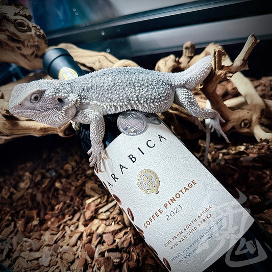 Arabica Coffee Pinotage 2021